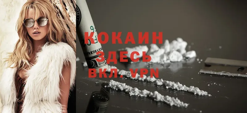 как найти закладки  Краснослободск  Cocaine Fish Scale 