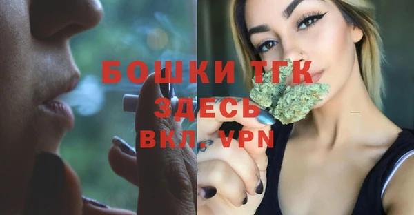 PSILOCYBIN Верея